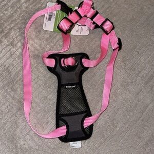 Frisco dog harness